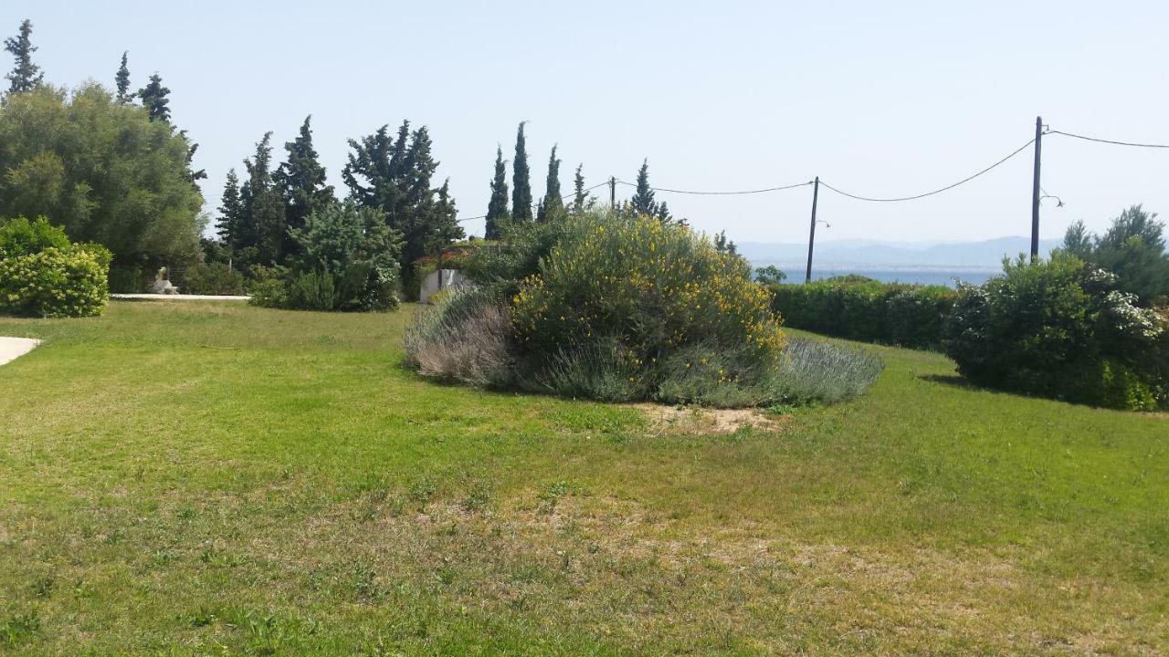 Beautiful House By The Sea,Loutraki Skaloma. Villa Kültér fotó